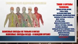 Лекция №4. Хронические заболевания вен. Почему образуются варикозные вены?