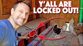 How To Install Hengear Auto Roost | Nesting Box For Chickens Accessories