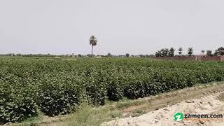 280 KANAL AGRICULTURAL LAND FOR SALE IN ALLAHABAD ROAD LIAQATPUR