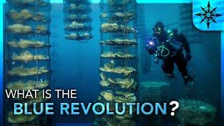 What is the Blue Revolution?