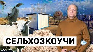 Сельское хозяйство Казахстана как арена для авантюр