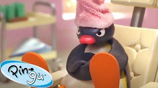 Pampering Pingu!  | Pingu - Official Channel | Cartoons For Kids