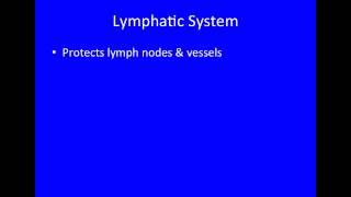 Video 6 - Muscular System - Muscular System & Homeostasis