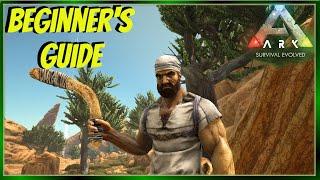 How to Get the BEST Start in Scorched Earth - Beginner's Guide - Ark: SE