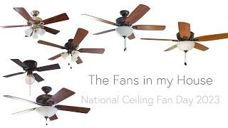 The Ceiling Fans in my House 2023 | Final Goodbye to the House | #ncfd