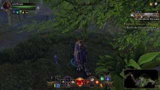 Neverwinter Ps4 Lag and Stall