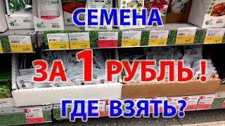 Где купить самые дешевые семена?