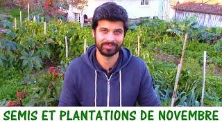 QUE SEMER ET PLANTER EN NOVEMBRE ?