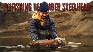 One of our most EXCITING fishing adventures | Swinging Flies for Summer Steelhead in December