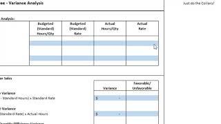 ACC202 Project: Variance Analysis