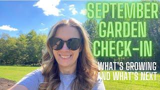 September garden check-in!