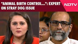 Animal Birth Control Plan Works Only In Theory': Expert On Stray Dog Issue