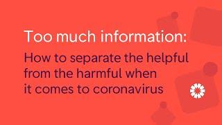 Too much information? Our online guide can help you separate the helpful from the harmful