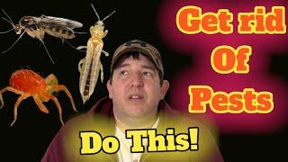 Control garden pests - Integrated Pest Management