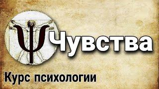 2.8 Чувства (функции психики | курс психологии)