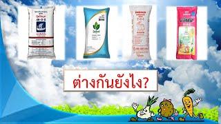 ปุ๋ย 46-0-0,21-0-0,15-0-0,11-0-0 ต่างกันอย่างไร (ปุ๋ยไนโตรเจน)