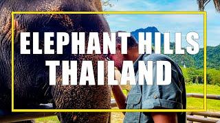 Elephant Hills Thailand: Our Three-Day Jungle And Lake Safari at an Ethical Elephant Sanctuary