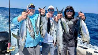 Crushing Blackfin Tuna Trolling With Artificial Bonita Strips