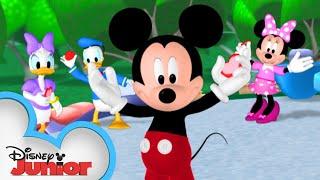 Happy Valentine's Day from Mickey and Friends!  | Mickey Mouse Clubhouse | @disneyjr