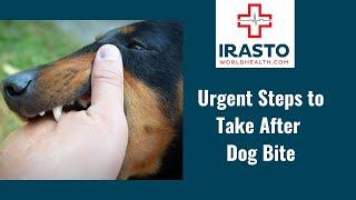 Urgent Steps to Take After a Dog Bite: Prevent Rabies and Ensure Your Safety!