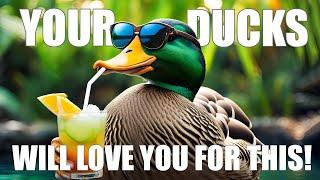 These Are The Top Five Things You Should Buy Your Ducks!