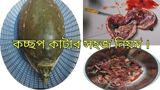 #কচ্ছপ কাটার সহজ পদ্ধতি #easy way to cut turtles  #tortoise cutting  #how to cut a turtle