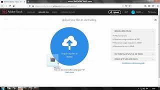 Cara Upload File Vector Di Adobe stock contributor