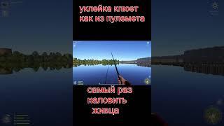 ВОЛХОВ УКЛЕЙКА ФАРМ ЖИВЦА И ПРОКАЧКА ОСНАСТКИ #рр4 #fishing