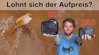 R5 II oder R1 - Welches ist die bessere Kamera für die Tierfotografie?