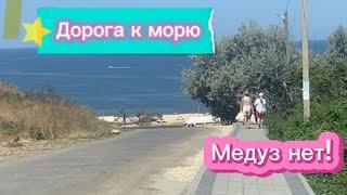 #дорога к морю от дома до пляжа! Польза от медуз- папиломы#гостевой дом в Голубицкой 89138349204