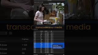 How Color Finale Transcoder works