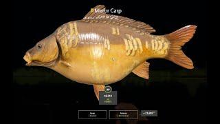 RUSSIAN FISHING 4. Amber Lake. Spot 124  66. Recopilación TROFEOS MIRROR  Y COMMON CARP.