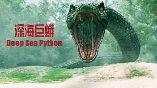 [Full Movie] Snake 深海巨蟒 Deep Sea Python 大蛇 | 探险动作电影 Adventure Action film HD