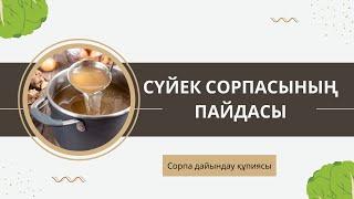 Сүйек сорпасы қандай ауруға ем? Сүйек сорпасын дайындаудың құпиясы