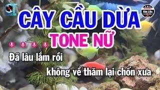 Karaoke Cây Cầu Dừa Tone Nữ ( Am ) Nhạc Sống Mới || Karaoke Kim Liễu