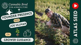 Grower Guidance - Indoor Cannabis Grow Guide - Joe talks about the Ultimate Indoor Grow Guide