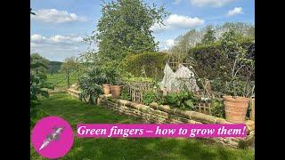 Green fingers – how to grow them!