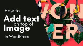 WordPress Tutorial on How to Add Text on Top of an Image in WordPress (Two Methods)