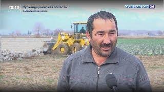 Факты незаконного землепользования в Сурхандарьинской области