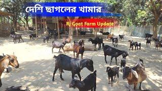 দেশি ছাগলের খামার প্রকল্প | goatfarming | Goat Farm | Rj goat farm bahirgachi Nadia