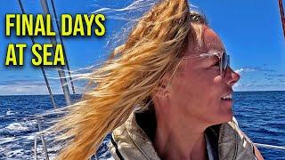 The Final 3 Days After Not Seeing Land for 2 Weeks: Sailing Tonga to New Zealand- Episode 138