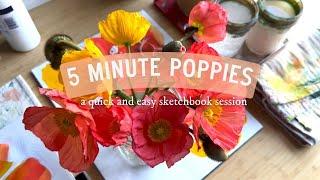 a 5 minute sketchbook session: poppies