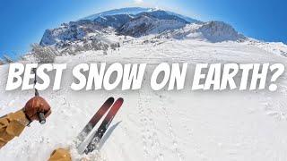 Is This the Best Powder Skiing in America?! | Snowbird & Alta