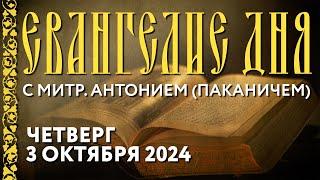 Толкование Евангелия с митр. Антонием (Паканичем). Четверг, 3 октября 2024 года.