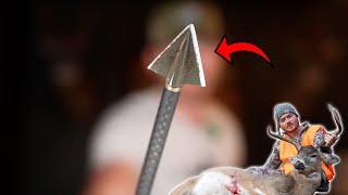 VPA Single Bevel 2-Blade Broadhead Review