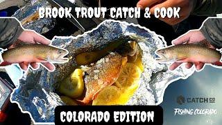 Brook Trout Catch & Cook(Ice Fishing Mission)