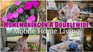 A day of Homemaking in the Doublewide. / Stuffed Cabbage Rolls & Strawberry Short-cuts / Mobile Home