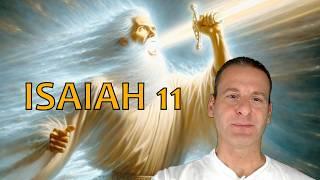 Isaiah Chapter 11 Summary And What God Wants From Us