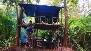 camping rame-rame membangun pondok panggung dari pohon tepos#survival