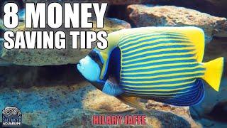 8 Money SAVING Tips for Saltwater Aquariums - Hilary Jaffe